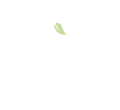 kenda white