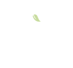 kenda white